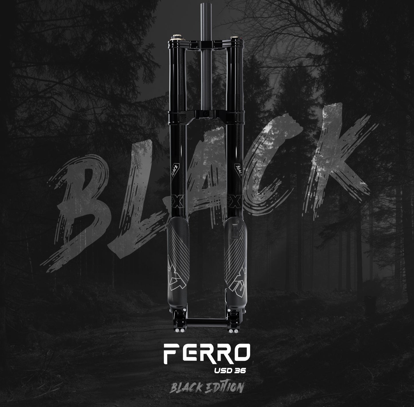 EXT FERRO USD, e-Moto Air Fork, 200mm Travel, 20x110, "Black Edition"