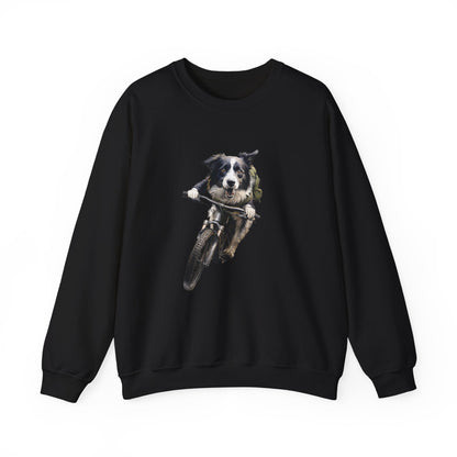 Border Collie Sweater