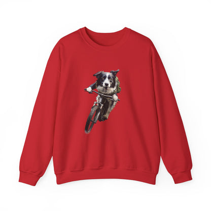 Border Collie Sweater